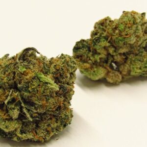 Jungle Cake Kush - Buy Cannabis Online New Zealand